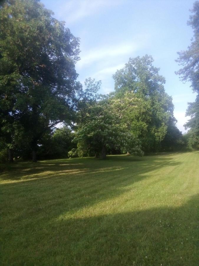 Chateau De Maucouvent Challuy Esterno foto