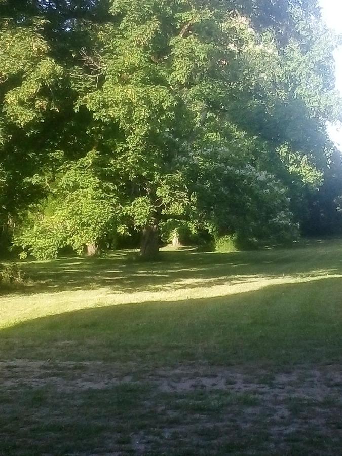 Chateau De Maucouvent Challuy Esterno foto