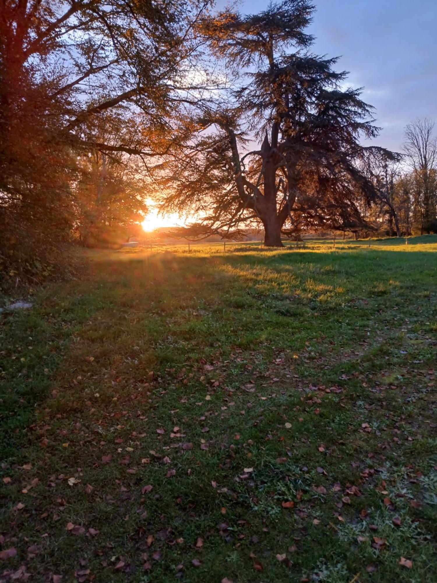 Chateau De Maucouvent Challuy Esterno foto